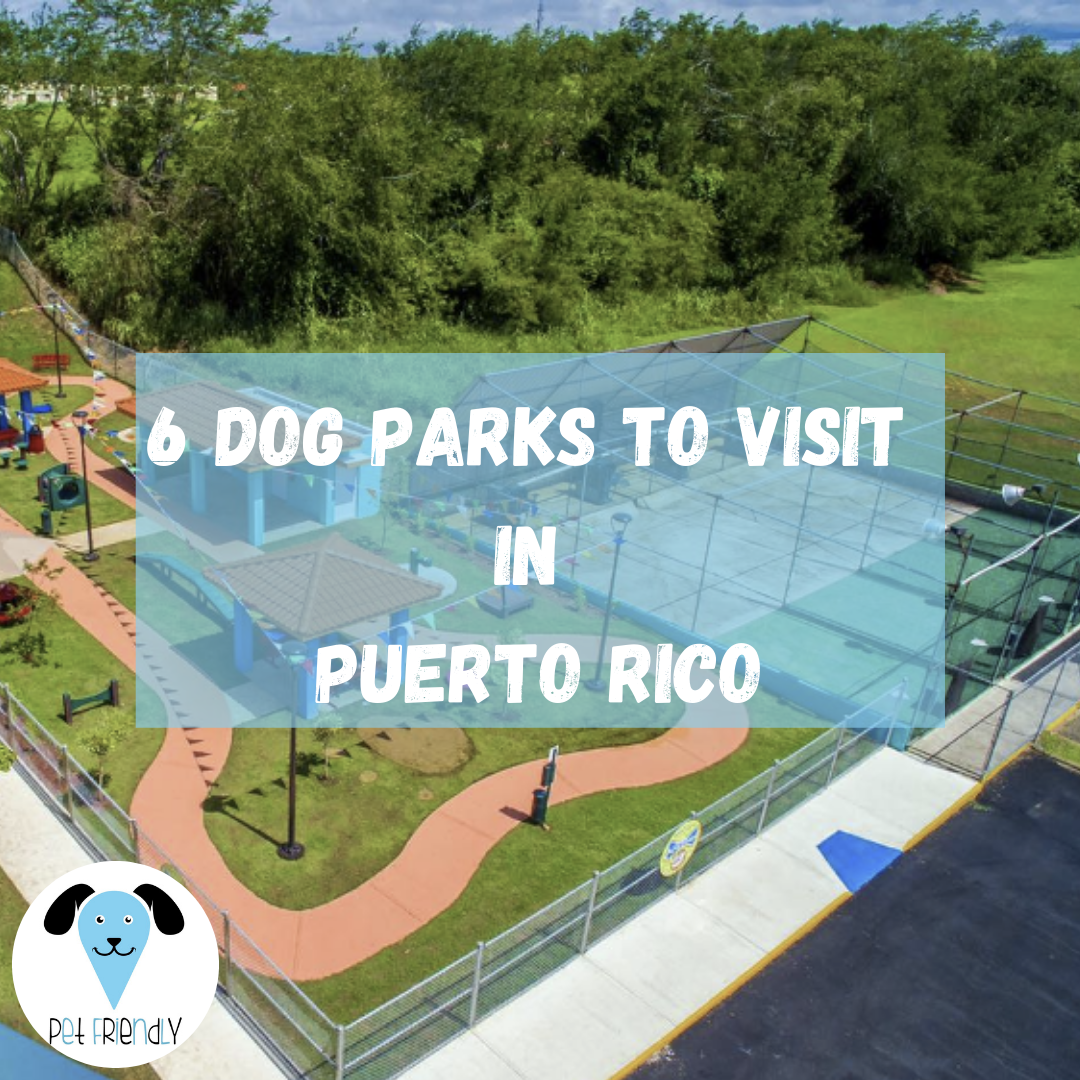 puerto rico dog travel requirements