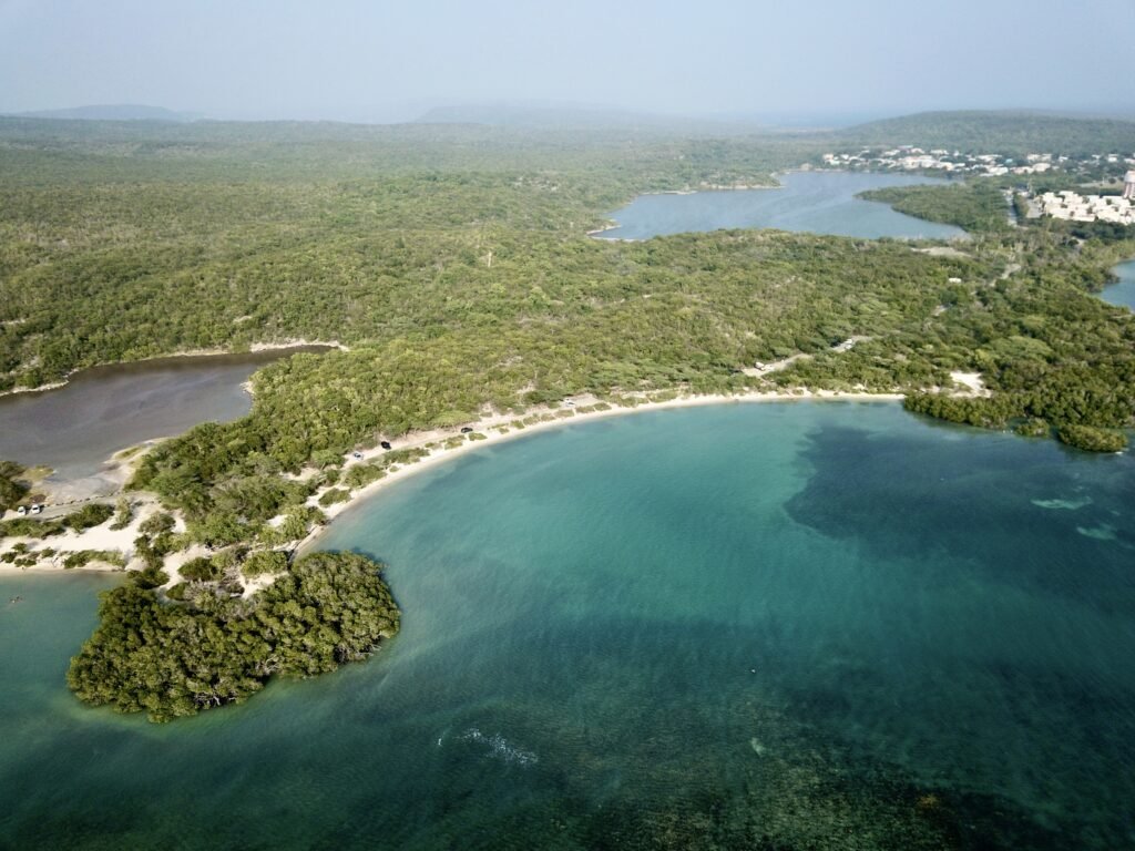 Playa La Jungla Roam Puerto Rico